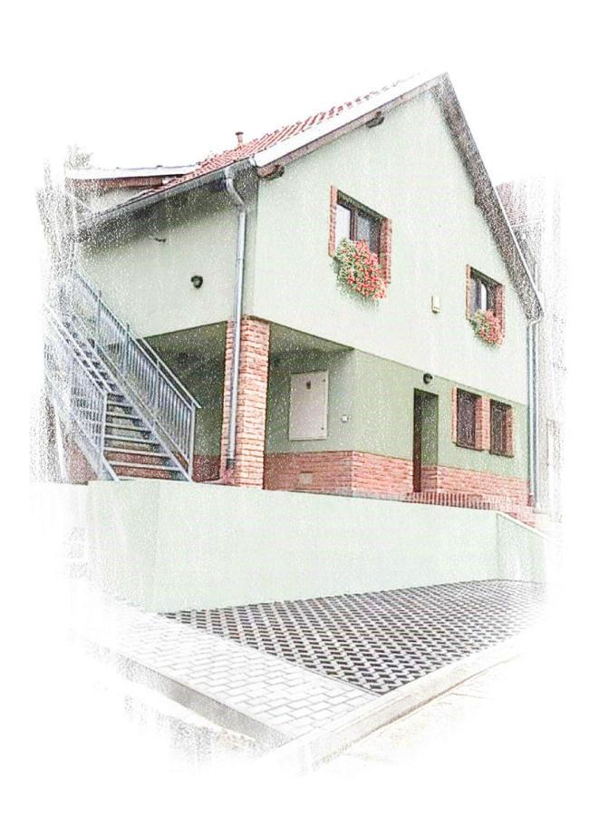 Rodinne Vinarstvi Guldanovi Divaky Exterior photo